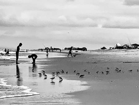 Assateague Island National Park