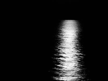 Moonlit Path to the Waters Edge